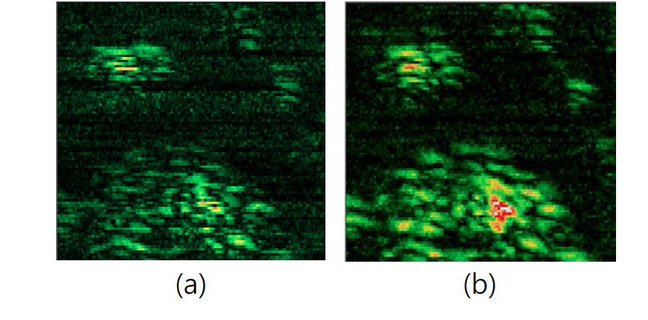 직경 1 micrometer 폴리스티렌 응집체에 대한 광유도 열 화상 이미지 (a) 위상요동 보상전 (b) 위상요동 보상후