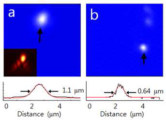 바륨타이타네이트 단일입자의 이미징을 통한 점퍼 짐함수 측정