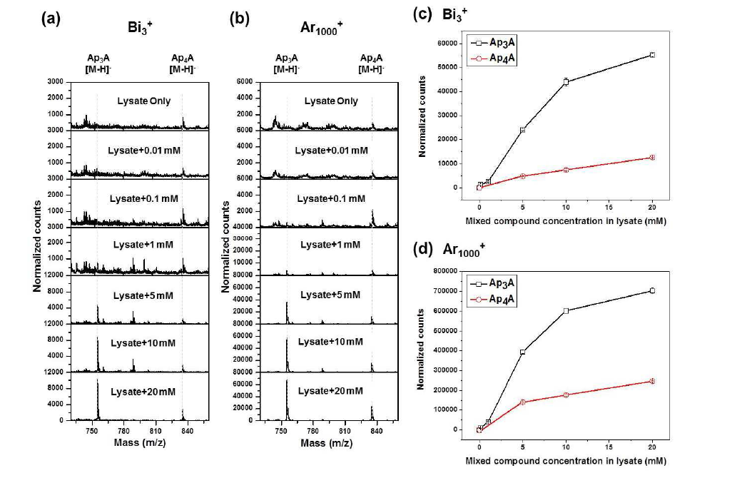 HeLa 세포 lysate에 spiking한 Ap3A와 Ap4A의 농도를 0.01 mM부터 20 mM까지 증가시키면서 측정한 ToF-SIMS의 스펙트럼. (a)는 Bi3 + 로 측정 한 Negative 스펙트럼. (b) Ar1000 + 로 측정한 Negative 스펙트럼. 스펙트럼은 totalcounts로 normalization 하였음. (c) Bi3 +측정한 Ap3A와 Ap4A 피크의 세기 를 농도에 따라 나타낸 그래프