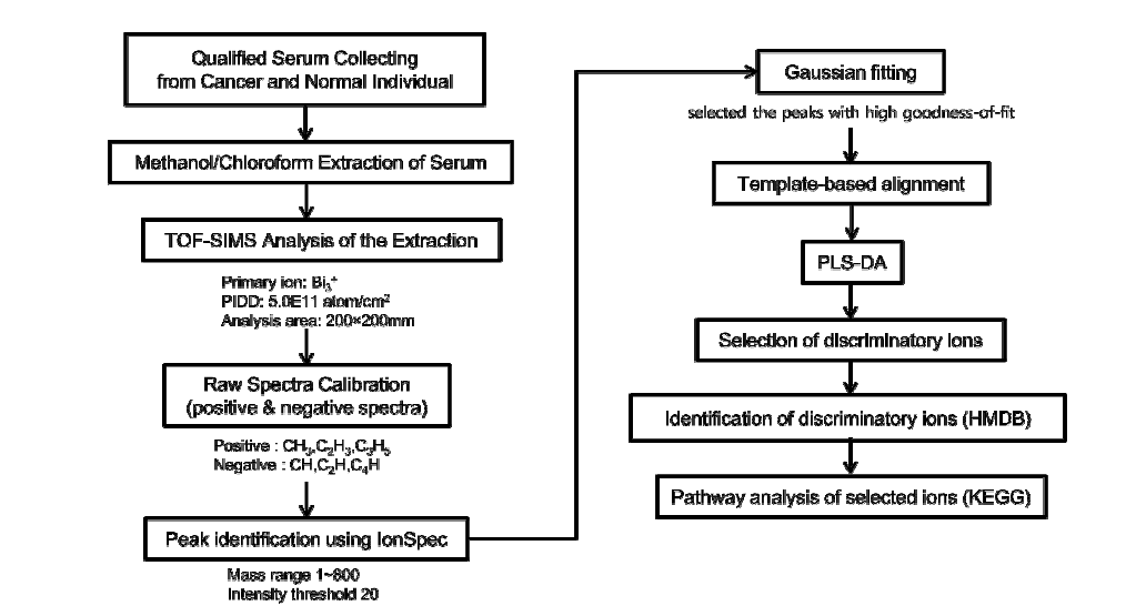 Serum 샘플의 TOF-SIMS 데이터의 통계처리 과정 도식도