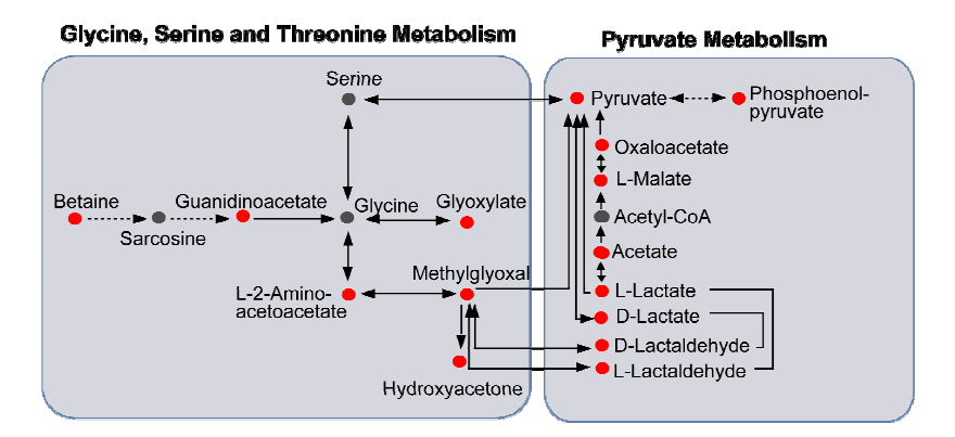 metabolites enriched pathway