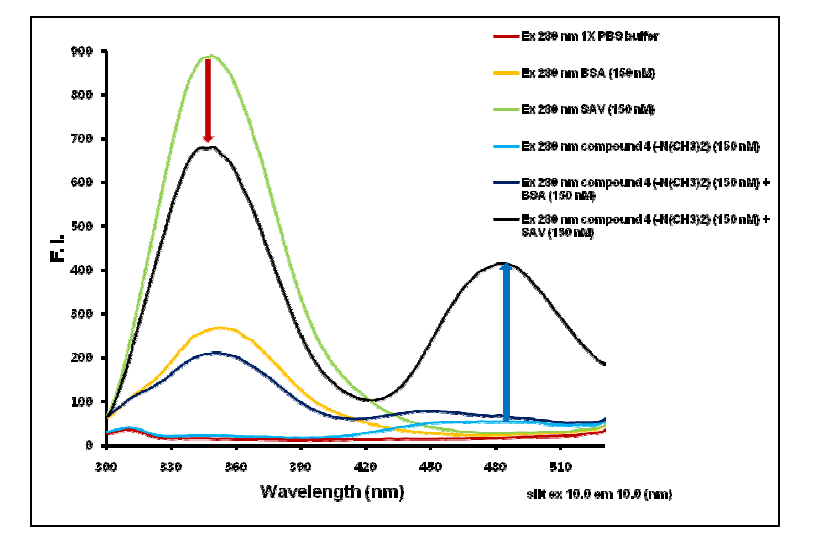 iFRET 형광탐침 II를 이용한 Steptavidin 검출