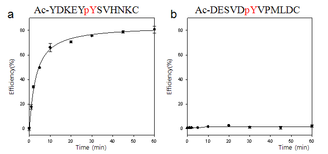생명연 PTP (CD45 & SHP1)의 시간에 따른 효소 활성도 측정 결과