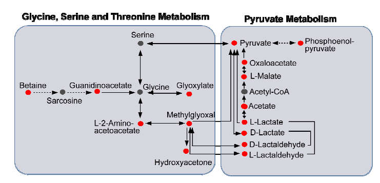 metabolites enriched pathway