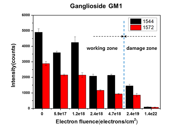전자빔의 dose에 따른 Ganglioside(1544,1572) 의 특성피크의 세기