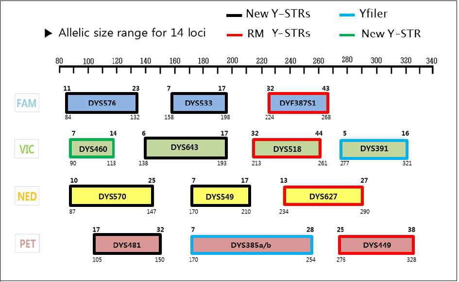 Allelic size range of newly developed multiplex PCR system