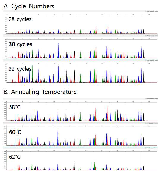 표준 DNA인 9947(1ng)을 이용한 InDel Multiplex PCR의 annealing 온도와 cycle 수에 따른 electropherogram. Y-축의 피크 높이는 동일한 값(8000RFU)으로 맞춤