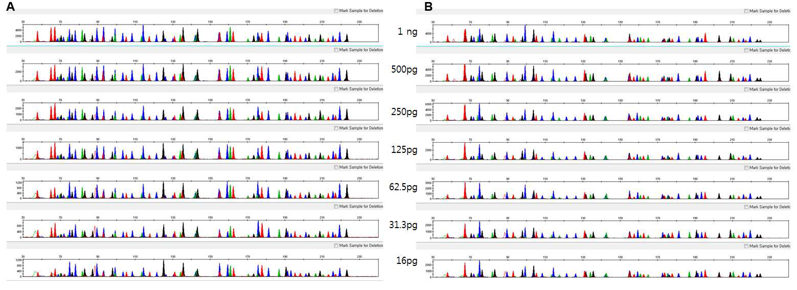두 개의 표준 DNA(A: 9947, B:9948)에 대한 민감도 확인. 사용한 DNA의 양은 1ng, 500pg, 250pg, 125pg, 62.5pg, 31.3pg, 16pg이고, Y-축의 값은 각 시료별로 가장 높은 피크의 값으로 나 타냄