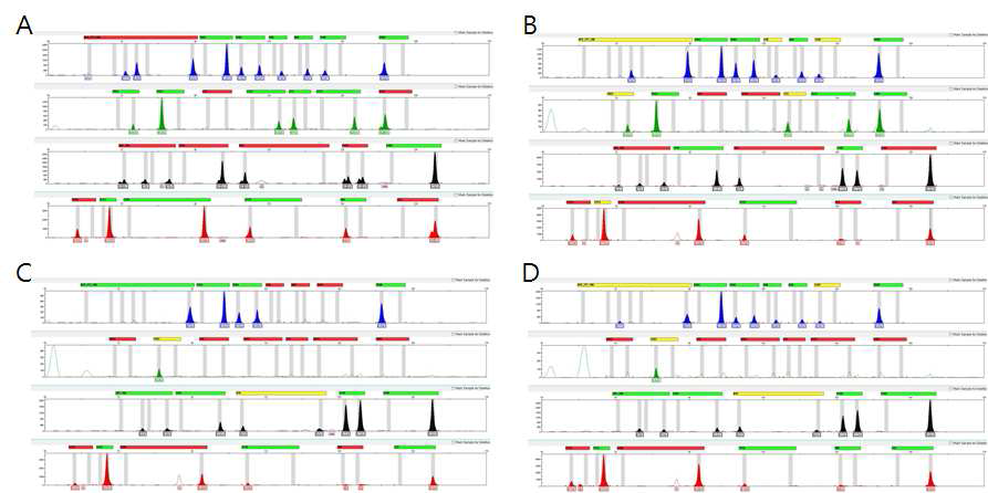 9948 표준 DNA의 Short InDel Multiplex PCR A: KAPA2G Fast HotStart DNA polymerase B: SpeedSTAR HS DNA polymerase C: Antibody-Taq DNA polymerase