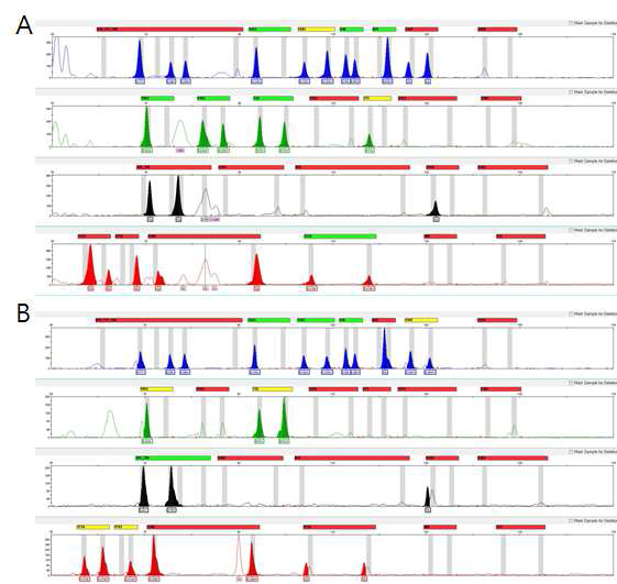 모발 lysate를 주형으로 사용 Fast/Direct InDel Multiplex PCR. A: KAPA2G Fast HotStart DNA polymerase B: SsoFast EvaGreen Supermix