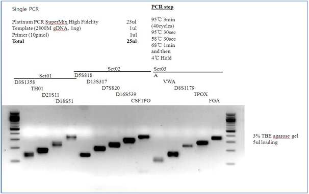 Single PCR 2800M Control DNA NGS