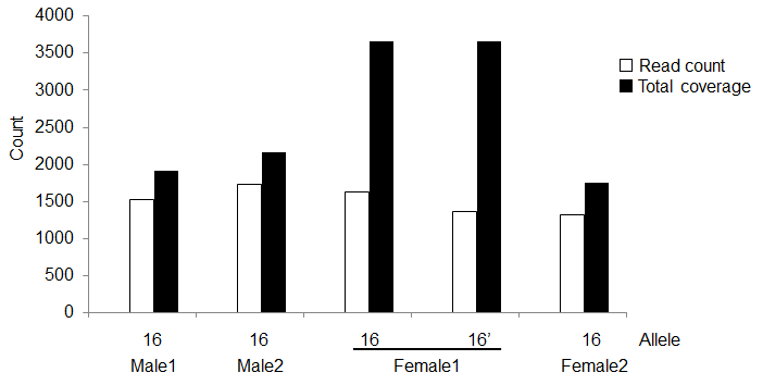 Female 시료에서 D3S1358 유전자 좌의 서로 다른 allele을 count