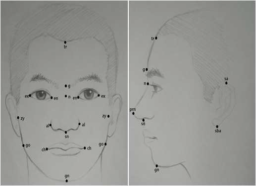 한국인 얼굴 측정에 사용된 지표