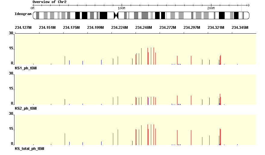 총 빌리루빈표현형-SNP 연관분석에서 얻은 2번 염색체 p-value