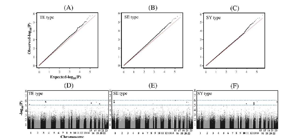 GWAS 분석으로부터 측정된 SNP의 체질별 p-value 분포