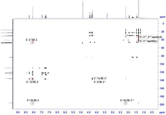 Heteronuclear multiple bond correlation (HMBC) spectrum of compound 2 in CD3OD
