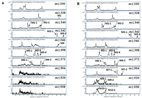 Representative LC-MS chromatogram of XLR-11 metabolites in sample No. 1 with (A) and without (B) hydrolysis