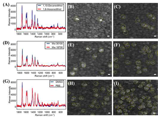 SERS의 신호를 극대화하기 위하여 (A) 자가조립층의 길이와 (D) 자극 반응성 고분 자의 분자량, (G) 용매의 변화를 통하여 나타난 SERS 신호와 각각의 실험 조건에 따른 (BI) 주사 전자 현미경을 통하여 흡착된 별 형태의 금나노입자를 확인한 TEM 이미지
