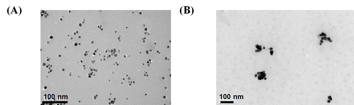 은 나노입자와 라만염료를 통해 유도된 은 나노클러스터의 투과전자현미경 이미지