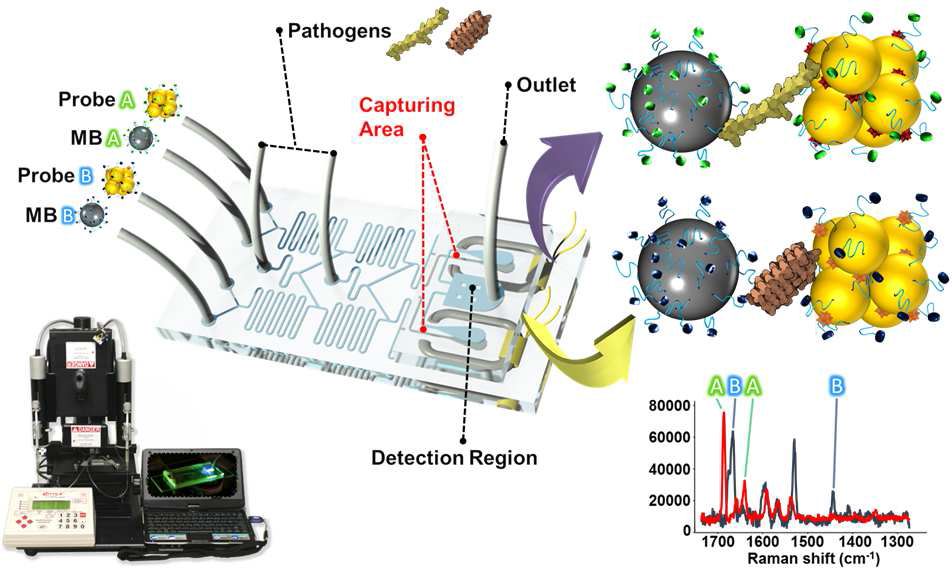 실시간 흔적시료 검출 및 생체분자 다중 검출을 위한 솔레노이드가 집적화된 랩칩, 바이오센서 및 휴대용 광검출 시스템을 제작 및 평가 모식도