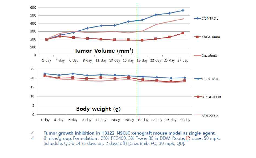 KRCA-008의 in vivo xenograft 실험
