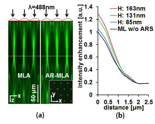 무반사 마이크로렌즈 광특성 평가 및 투과도 증가 (a) 무반사 마이크로렌즈 어레이에 광결합 되어 전파되는 레이저의 공초점 광주사 현미경 이미지 (b) 무반사 마이크로렌즈 어레이 초점 면에서의 PSF