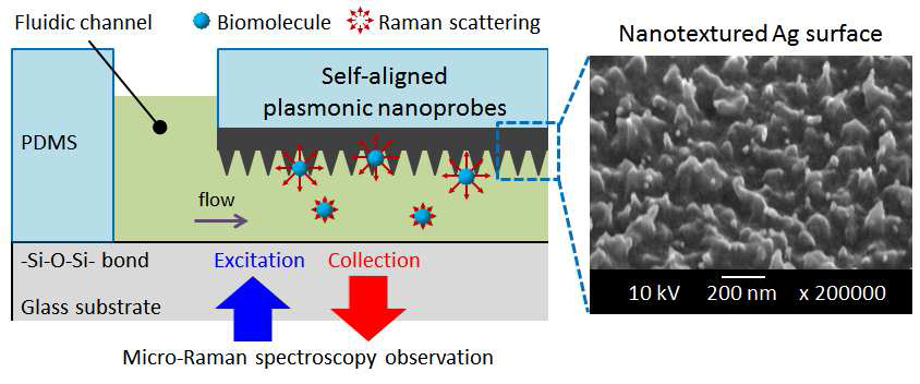 유체채널 위에 선택적으로 나노플라즈모닉 구조를 갖는 마이크로칩에 대한 개요도 및 형성된 나노플라즈모닉 구조(Nanotextured Ag surface)에 대한 사진.