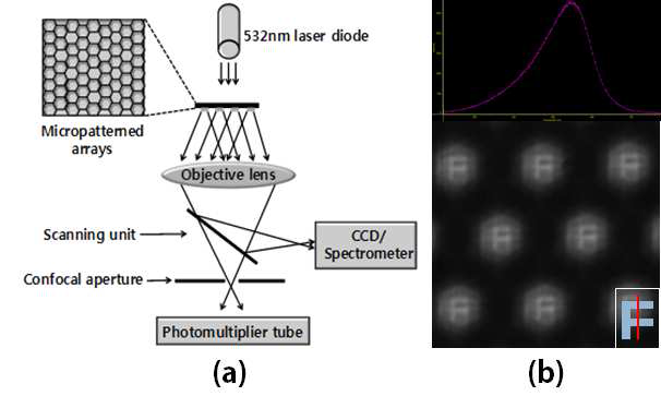 마이크로렌즈어레이의 분광 특성 및 광특성 평가 (a) 공초점 광주사현미경-미세분광기 결합을 통한 시스템 구성 (b) 마이크로렌즈 어레이 분광 및 이미징 특성 측정법 개발.