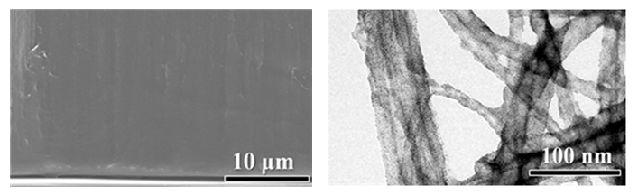 좌측 사진은 SEM 이미지로 Pt 코팅된 CNT forest 에 PDMS를 채운 모습임. 우측 사진은 TEM 이미지로 CNT 표면에 Pt 가 매우 고르게 코팅되어 있음을 확인시켜줌. Pt 는 2~3 nm 두께로 코팅됨.
