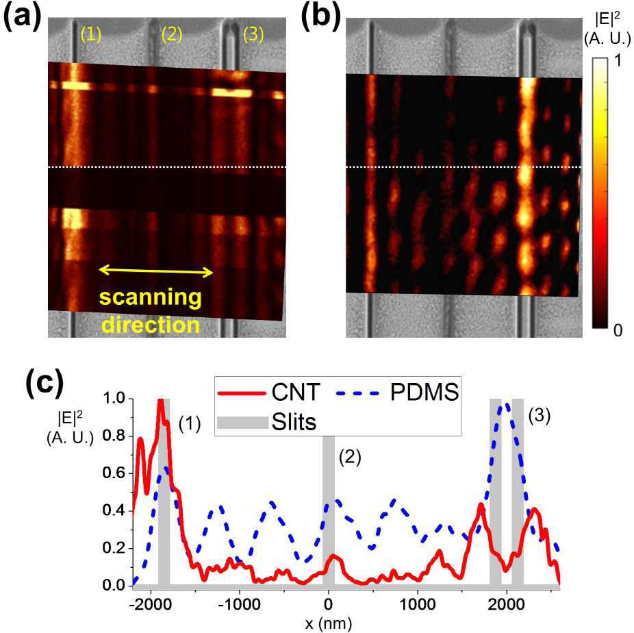CNTs forest 나노렌즈를 통해 얻은 더블슬릿 이미지, (b) 동일 두께의 PDMS를 통과하여 나온 더블슬릿의 이미지 및 (c) 각 이미지의 cross-section analysis. PDMS 박막과는 다르게 CNTs forest 나노렌즈는 더블슬릿의 이미지를 잘 전달함.