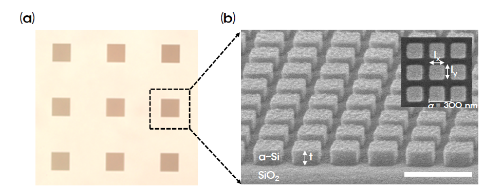 (a) 제작된 샘플의 광학 현미경 사진, (b)제작된 샘플의 전자현미경 사진