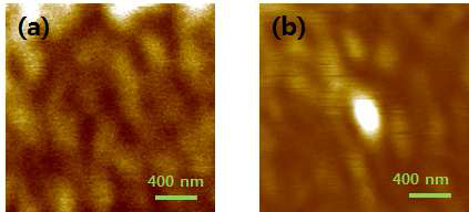 (a) 평면파를 입사시켰을 때의 NSOM 이미지, (b) 원거리장 제어를 통해 집속된 근접장의 NSOM 이미지