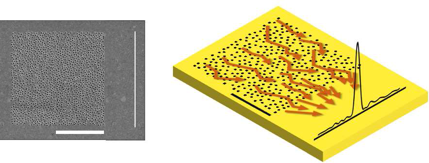 샘플로 사용된 무작위 나노 메타렌즈의 FIB 이미지와, 표면 플라스몬을 컨트롤하여 한곳으로 집속시키는 컨셉 이미지. Scale bar : 5 um