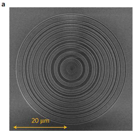 Super-oscillatory lens(SOL)의 SEM 이미지