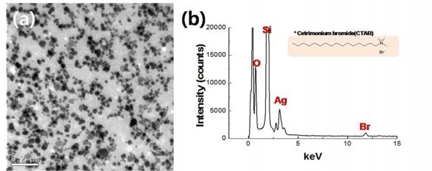 Cetrimonium bromide(CTAB)을 첨가한 물 내에 존 재하는 Ag particles의 (a) TEM 이미지, (b) EDS spectrum