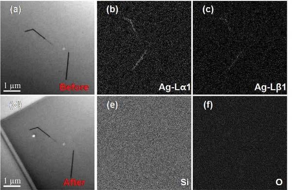 IPA 내 존재하는 Ag 나노와이어의 EDS mapping 전(a) 및 후(d)의 TEM 이미지, (b,c,e,f) 각 원소 별 EDS map