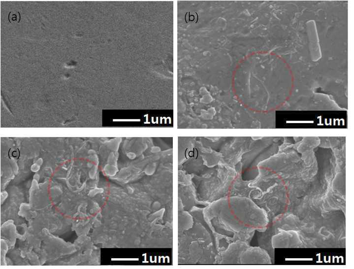 온도 및 전류 복합인가에 따른 in-situ SEM multi-stage system 복합 물성평가를 위한 시편의 표면 이미지; (a) 무연솔더(Sn-3.0(wt%)Ag-0.5(wt%)Cu) (b ~ d) CNT 나노복합솔더 (Sn-3.0(wt%)Ag-0.5(wt%)Cu)