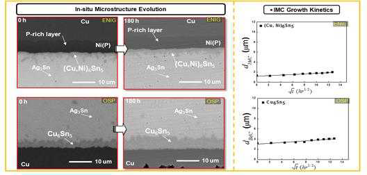 온도(150℃)에 따른 CNT 나노복합솔더(Sn-3.0(wt%)Ag-0.5(wt%) Cu) 의 in-situ SEM 이미지 및 금속간화합물 성장 거동