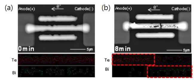 (a) 100℃ 및 높은 전류밀도 (1.33X106 A/cm2)를 가하 기 전 시편의 SEM 이미지 및 EDS mapping 결과, (b) 8min에서 fail된 시편의 SEM 이미지 및 EDS mapping 결과