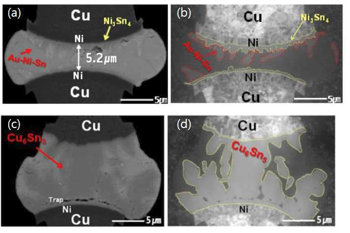 (a) Cu/Ni/Sn-Ag 시편의 단면 SEM 이미지, (b) Cu/Ni/Sn-Ag 시편의 단면 FIB 이미지, (c) Cu/Sn-Ag 시편의 단면 SEM 이미지, (d) Cu/Sn-Ag 시편의 단면 FIB 이미지