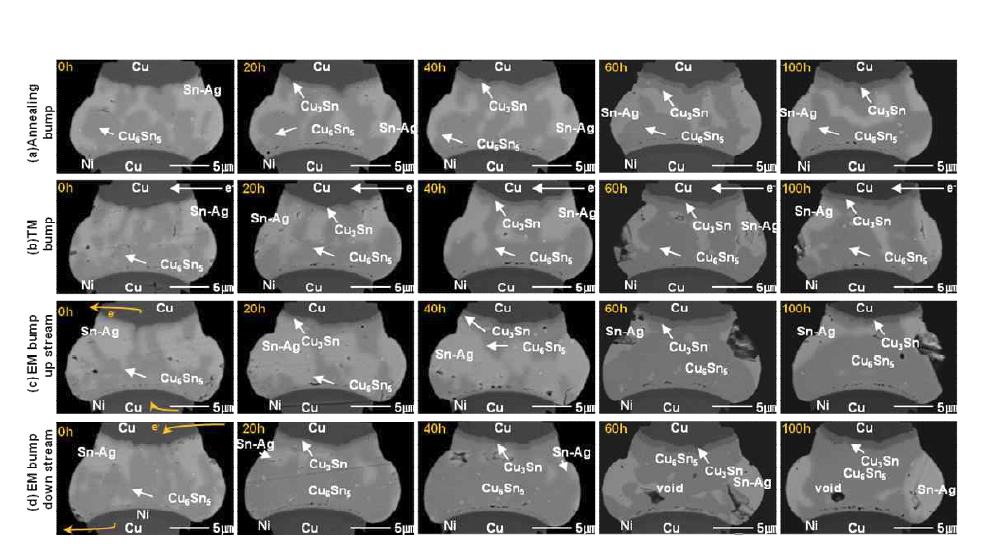 150℃및 1.5x105A/cm2 복합 인가 조건에 따른 Cu/Sn-Ag 시편의 annealing, EM, TM 범프의 단면 SEM이미지 (a) Annealing bump, (b) TM bump, (c) EM bump (up stream), (d) EM bump (down stream)