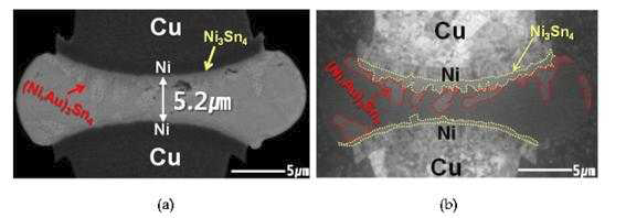 (a) Cu/Ni/thick Sn-Ag 시편의 단면 SEM 이미지, (b) Cu/Ni/thick Sn-Ag 시편 의 단면 FIB 이미지