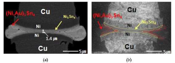 (a) Cu/Ni/thin Sn-Ag 시편의 단면 SEM 이미지, (b) Cu/Ni/thin Sn-Ag 시 편의 단면 FIB 이미지