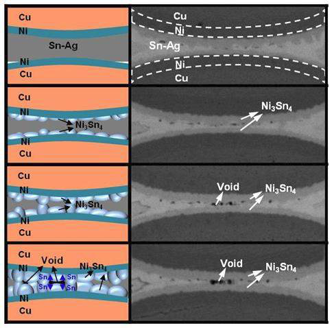 Cu/Ni/thin Sn-Ag 시편의 Ni3Sn4상 사이에서 관찰되는 void의 형성 메카니즘[37]
