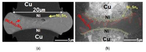 Cu/dia. 20μm Ni/Sn-Ag 시편의 단면 SEM 이미지, (b) Cu/dia. 20μm Ni/Sn-Ag 시편의 단면 FIB 이미지