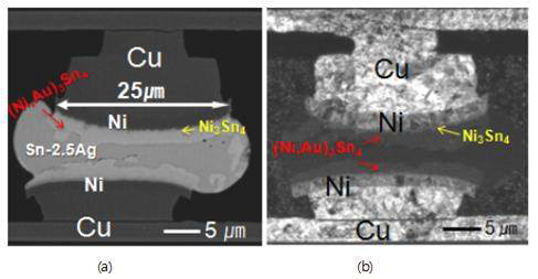 (a) Cu/dia. 25μm Ni/Sn-Ag 시편의 단면 SEM 이미지, (b) Cu/dia. 25μm Ni/Sn-Ag 시편의 단면 FIB 이미지