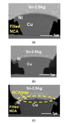 (a) w/o NCF Trap Cu/Ni/Sn-Ag 시편 의 단면 SEM 이미지, (b) w/o NCF Cu/Ni/Sn-Ag 시편의 단면 SEM 이미지, (c) w/ NCF Trap Cu/Ni/Sn-Ag 시편의 단면 SEM 이미지