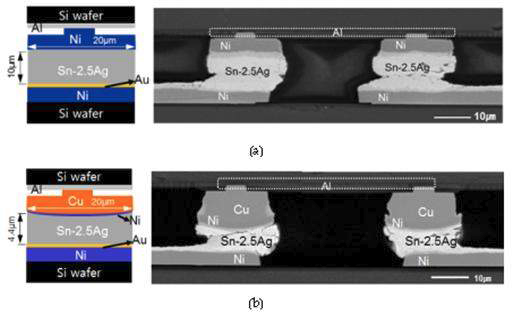 (a) Ni UBM 미세범프 시편의 모식도 및 실제 완성된 시편의 단면 SEM 이미지, (b) Cu UBM 미세범프 시편의 모식도 및 실제 완성된 시편의 단면 SEM 이미지