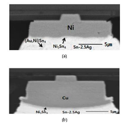 (a) Ni UBM 미세범프 시편의 단면 SEM 이미지, (b) Cu UBM 미세범프 시편의 단면 SEM 이미지