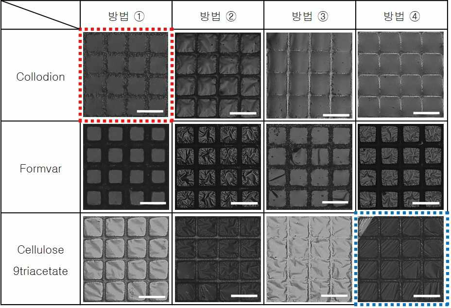 Polymer 종류와 film 형성 방법에 따른 탄소막의 광학현미경 영상들 (100㎛ scale)